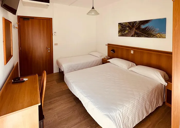 Palme Hotel Lido di Jesolo